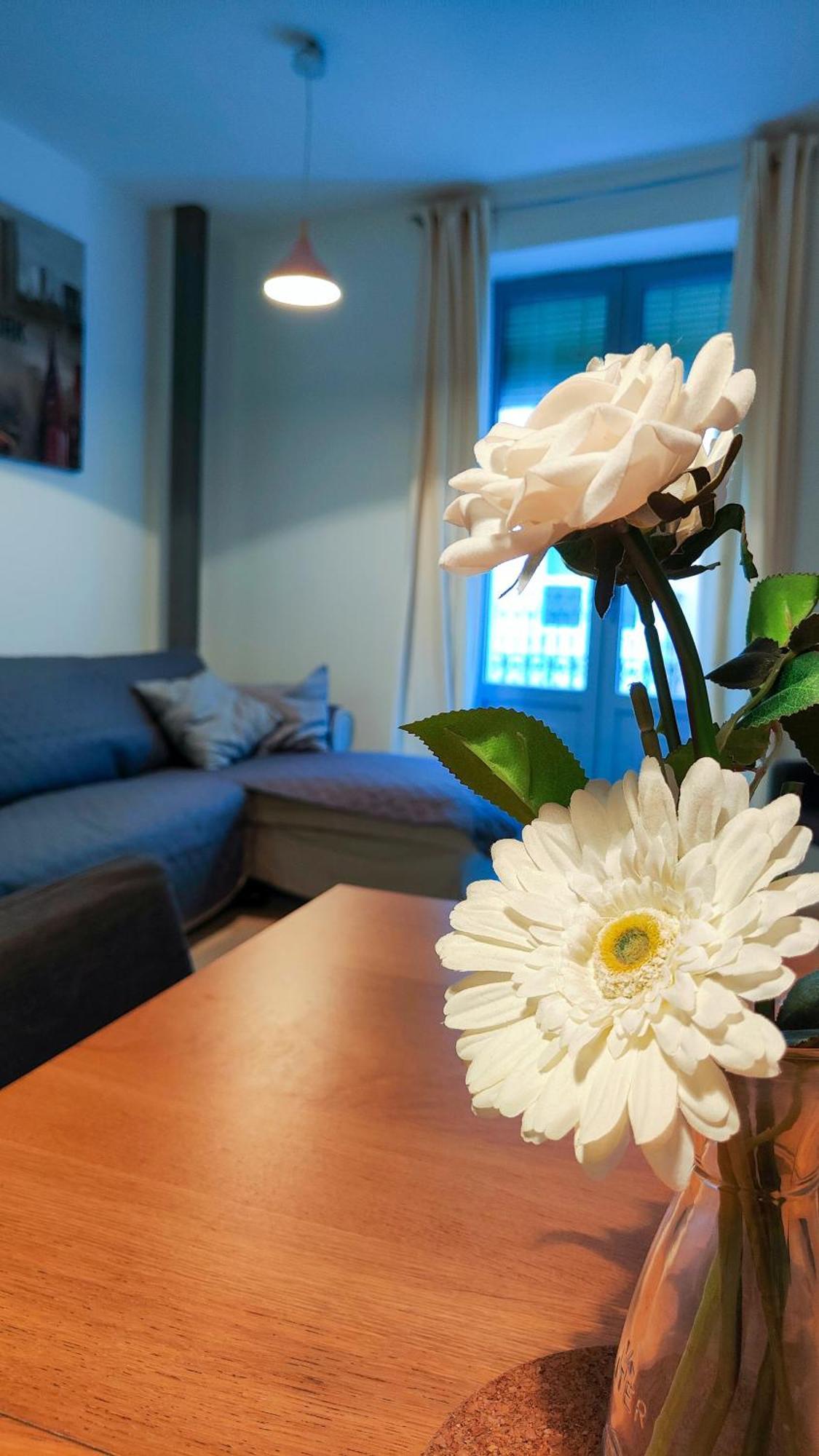 Apartamento Palm Square - One Minute From The Sea! Alicante Exterior foto